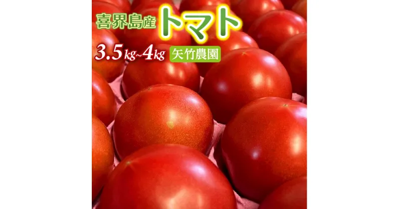 【ふるさと納税】喜界町産トマト3.5kg〜4.0kg　矢竹農園【2025年1月以降発送開始】