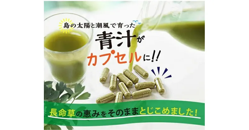 【ふるさと納税】「青汁」長命草カプセル(280mg×150粒)【喜界島薬草農園】