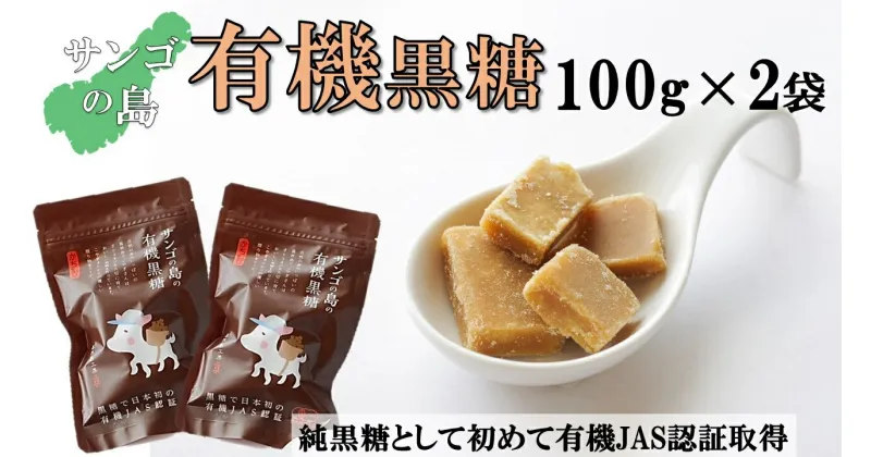 【ふるさと納税】サンゴの島の有機黒糖（100g）×2袋【ポスト投函／日付指定不可】