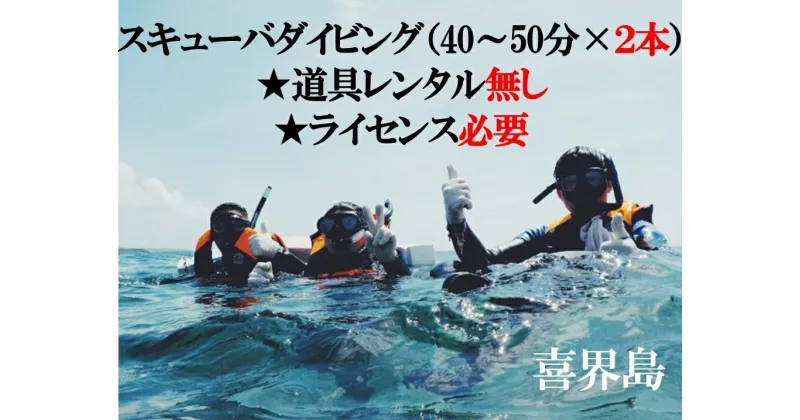 【ふるさと納税】喜界島で スキューバダイビング（40〜50分×2本）★道具レンタル無し★ライセンス必要★