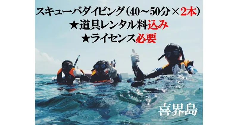 【ふるさと納税】喜界島で スキューバダイビング（40〜50分×2本）★道具レンタル料込み★ライセンス必要★