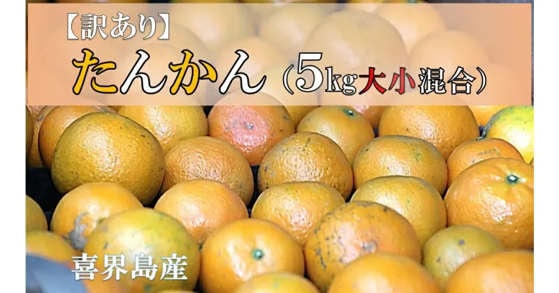 【ふるさと納税】訳あり　たんかん(5Kg大小混合)　農家直送　2月上旬頃から発送