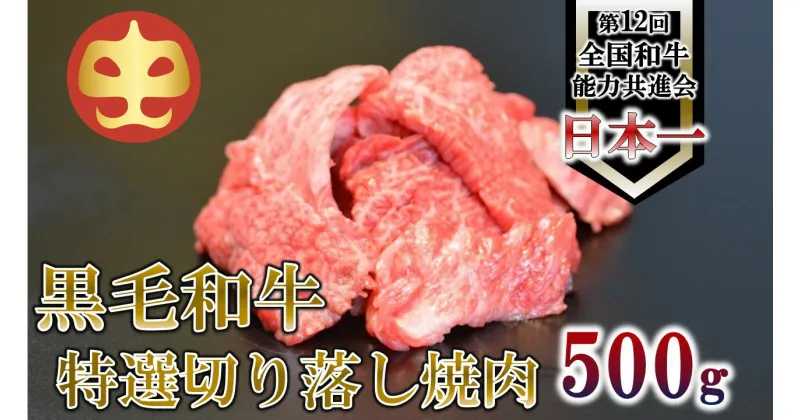 【ふるさと納税】【うしの中山】 切り落とし 焼肉 用 500g【日付指定不可】