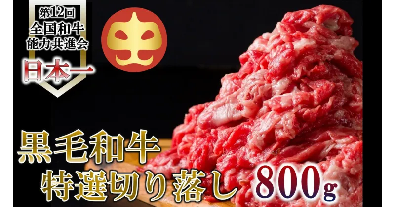 【ふるさと納税】【うしの中山】 黒毛和牛 切り落とし 800g【日付指定不可】