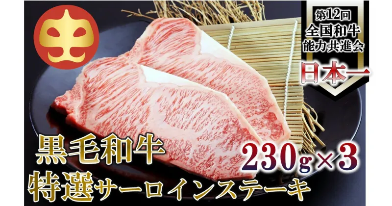 【ふるさと納税】【うしの中山】 鹿児島県産「鹿児島黒牛」A5ランク特選サーロインステーキ690g（230g×3）【日付指定不可】