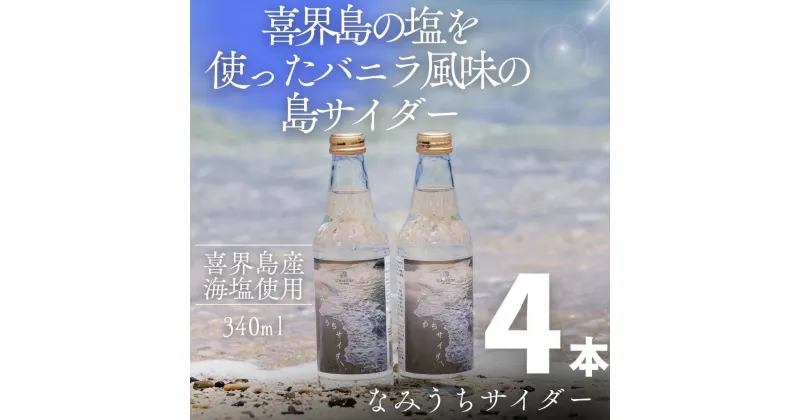 【ふるさと納税】喜界島の塩を使ったバニラ風味の島サイダー なみうちサイダー 340ml×4本 喜界島 土産 返礼品 ご当地 ギフト セット 鹿児島 奄美 送料無料 サイダー 清涼飲料水 炭酸飲料 ドリンク 塩サイダー 内祝い お返し ジュース 贈答 贈り物 プレゼント お歳暮 御歳暮