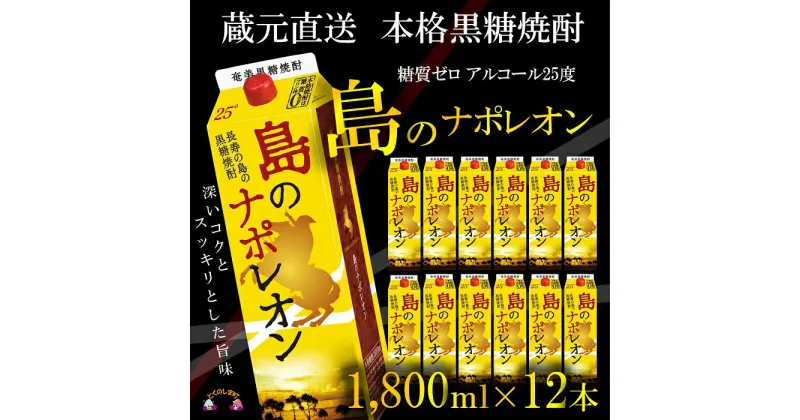 【ふるさと納税】（蔵元直送便）本格黒糖焼酎 島のナポレオン1800mlパック×12本（数量限定）