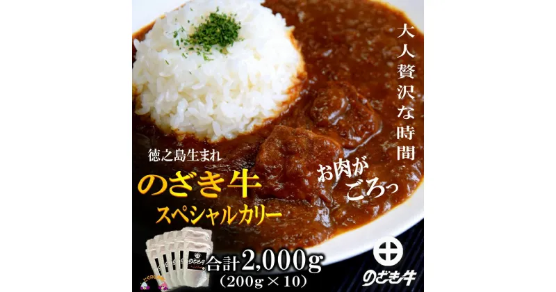 【ふるさと納税】大人贅沢な「徳之島“生まれ”のざき牛」が“ごろっ”と入ったスペシャルカリー（10食） ( カレー のざき牛 鹿児島黒毛和牛 スパイシー レトルト 徳之島 奄美 鹿児島 美味しい 人気 大人の味 ごろっと )