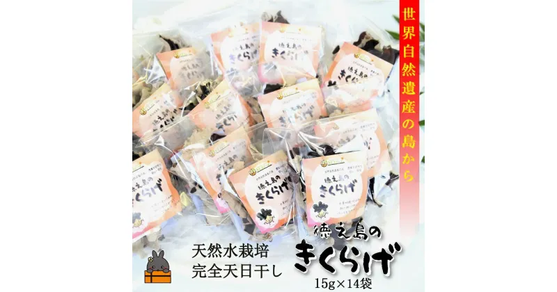 【ふるさと納税】〜コリコリ食感がたまらない〜徳之島産乾燥きくらげ（15g×14袋）