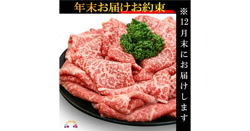 【ふるさと納税】《12月末配送お約束》徳之島が世界に誇る最高級和牛“のざき牛”モモすき焼きギフト ( 年末 年始 黒毛和牛 お正月 ご馳走 最高級 お正月 家族 美味しい 絶品 プレミアム 牛肉 鹿児島 鍋 )