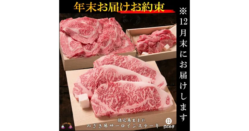 【ふるさと納税】《12月末配送お約束》徳之島が世界に誇る最高級和牛“のざき牛”サーロインステーキギフト ( 年末 年始 黒毛和牛 お正月 ご馳走 最高級 お正月 家族 パーティー 美味しい 絶品 プレミアム 牛肉 鹿児島 鍋 )