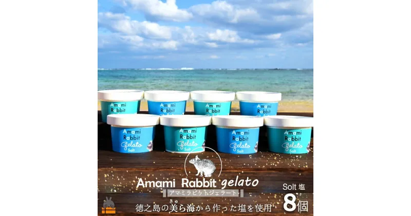 【ふるさと納税】《ふるさと納税限定》美ら海の塩使用。アマミラビットジェラート（Salt：塩）（8個）