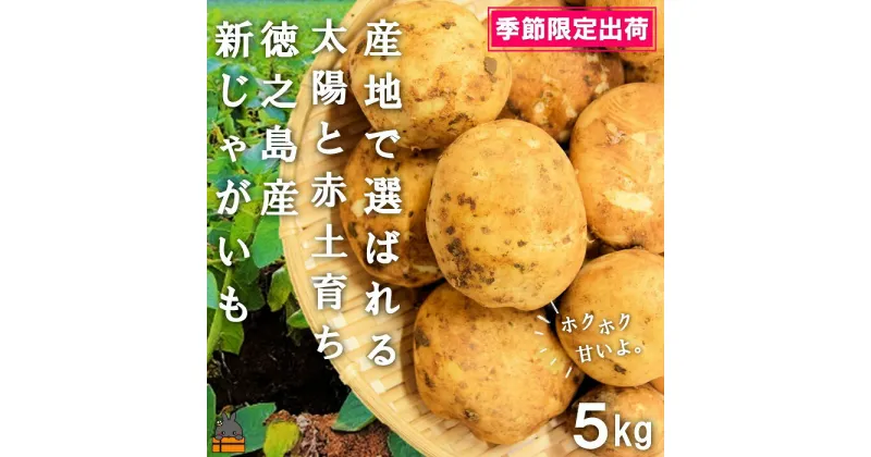 【ふるさと納税】《2025年春お届け！》～これからは産地で選びたくなる～徳之島産新じゃがいも（5kg） ( バレイショ 野菜 旬 春 徳之島 奄美 鹿児島 肉じゃが カレー じゃがバター 美味しい 人気 オススメ )