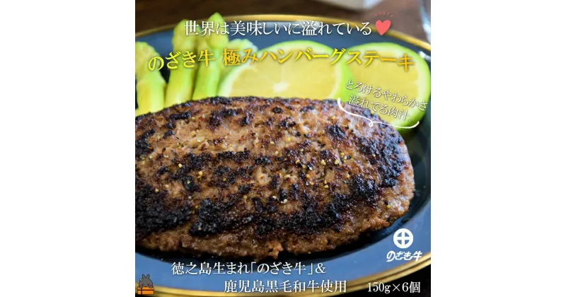 【ふるさと納税】～世界は美味しいに溢れている～徳之島生まれ「のざき牛」＆鹿児島黒毛和牛 極みハンバーグステーキギフト（150g×6個）( のざき牛 鹿児島黒毛和牛 日本一 肉汁 牛肉 冷凍 プレミアム 満足 人気 老舗肉店 徳之島 鹿児島 )