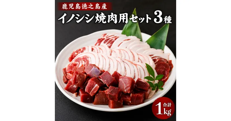 【ふるさと納税】イノシシ焼肉用セット 合計1kg 3種 ( ローススライス バラスライス モモ サイコロカット ) ジビエ イノシシ いのしし 肉 猪肉 スライス サイコロカット 焼肉 BBQ 冷凍 天城町産 鹿児島 九州 国産 送料無料 AI-16-N