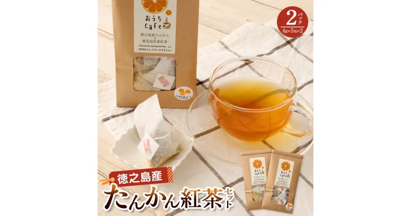 【ふるさと納税】たんかん 紅茶 2パック セット 5包×2 ティーバッグ タンカン お茶 茶 国産 鹿児島県 天城町 徳之島産 送料無料 C-14-N