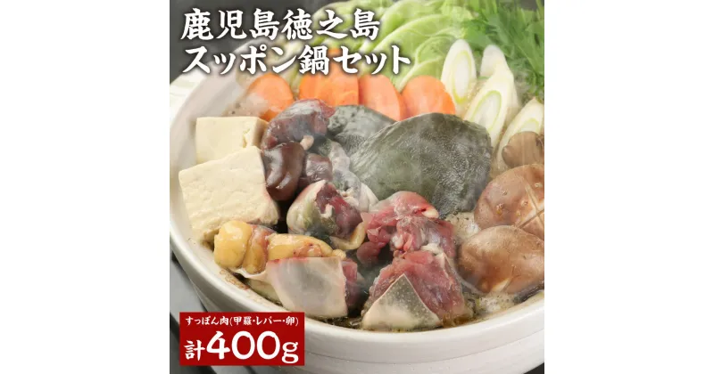 【ふるさと納税】【鹿児島徳之島】スッポン鍋セット スッポン肉 甲羅 レバー 卵 計400g スッポン生血 珍味 鍋 鍋セット レシピ同封 徳之島 鹿児島県産 九州産 国産 冷凍 送料無料 AW-1-N