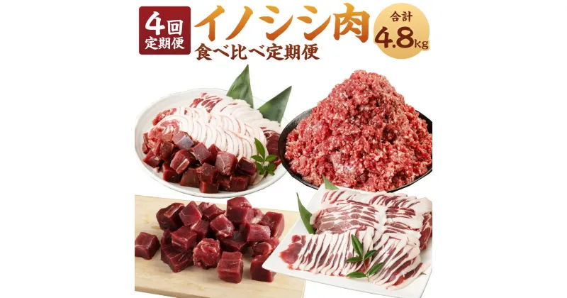 【ふるさと納税】【4回定期便】イノシシ肉 食べ比べ 定期便 計4.8kg ミンチ ロース サイコロ 焼肉 セット ジビエ イノシシ 猪 肉 お肉 BBQ 国産 九州 徳之島 天城町 送料無料