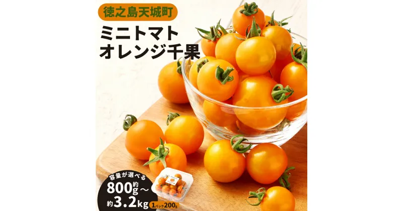 【ふるさと納税】徳之島 天城町産 ミニトマト 200g ＜パック数が選べる＞ 4パック 合計800g 8パック 合計1.6kg 16パック 合計3.2kg オレンジ千果 トマト とまと 野菜 国産 九州 鹿児島県 送料無料