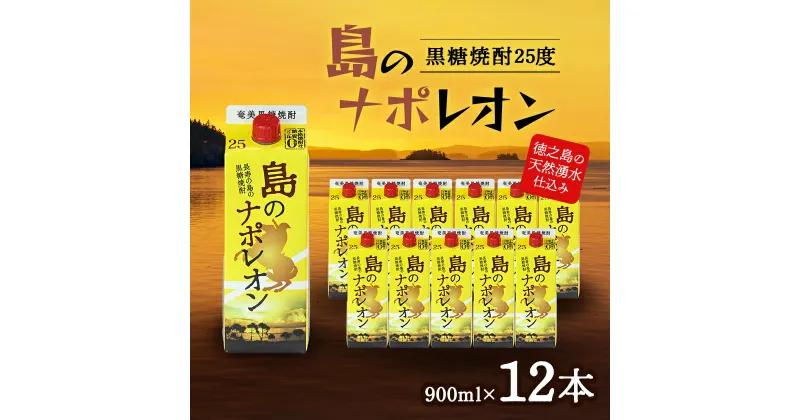 【ふるさと納税】島のナポレオン900ml紙パック12本セット　mkmt04【1407070】