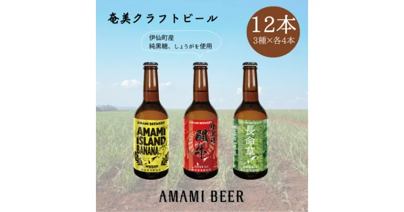 【ふるさと納税】奄美クラフトビール　3種〈純黒糖・長命草・島ばなな〉330ml　各4本　計12本【配送不可地域：離島】【1419437】