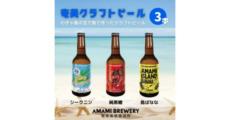 【ふるさと納税】奄美クラフトビール 3本入り 地ビール【配送不可地域：離島】【1432327】