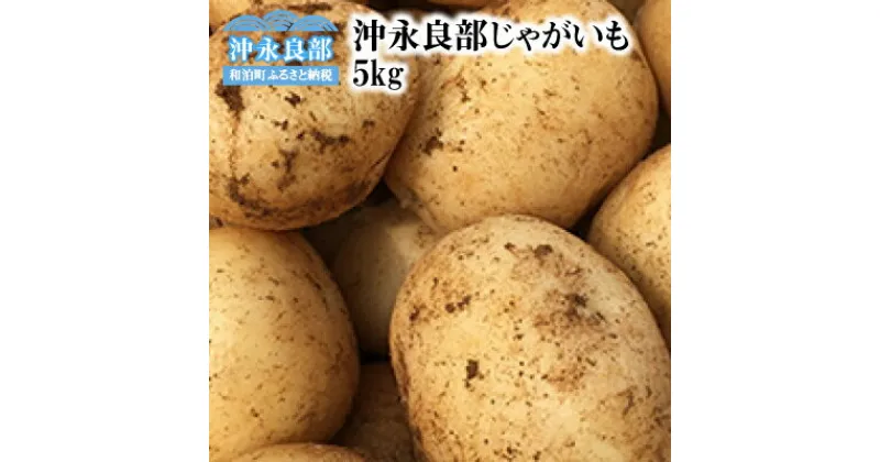 【ふるさと納税】【2025年先行予約】 沖永良部 じゃがいも 5kg 新じゃが 赤土じゃがいも ホクホク 食感 まるとよ農産 ポテト アローワ ニシユタカ デジマ ゴールドメーク メークイン 5品種 Mサイズ以上 野菜 芋 鹿児島 和泊町 おすすめ ランキング プレゼント ギフト