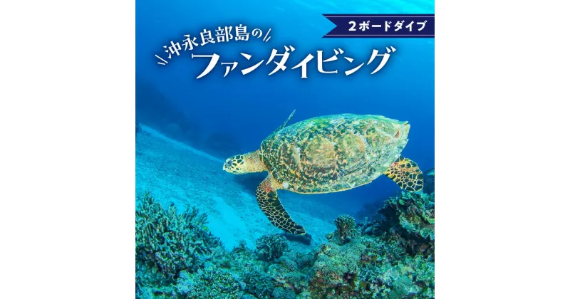 【ふるさと納税】沖永良部島 ファンダイビング 1名様分 Cカード所持者 限定 2ボートダイブ フロート タンク ウェイト ガイド 保険 乗船 施設使用 ドリンク 込み ダイビング アクティビティ 海 チケット 引換券 リゾート 体験 海 アウトドア 南国 鹿児島県 和泊町 送料無料