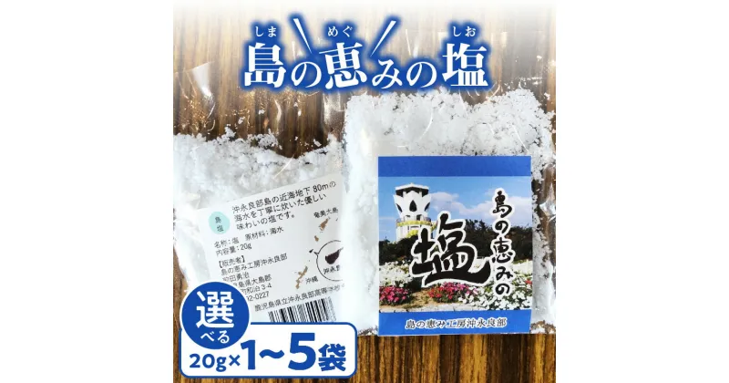 【ふるさと納税】＜選べる＞ 島の恵みの 塩 20g 1袋 ～ 5袋 食塩 海塩 ソルト 海水 天然 調味料 シーソルト ミネラル スパイス 料理 おにぎり 沖永良部 郵送 ポスト投函 島の恵み工房 サロンバー エスポワール 鹿児島 和泊町 おすすめ ランキング プレゼント ギフト