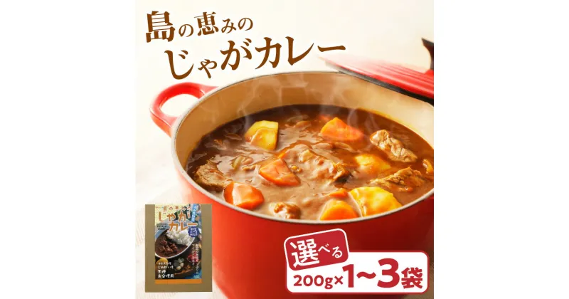 【ふるさと納税】＜選べる＞ 島の恵みの じゃがカレー 200g 1袋 ～ 3袋 カレー レトルト スパイス おかず じゃがいも 島にんにく 黒糖 簡単 常温保存 沖永良部 郵送 ポスト投函 島の恵み工房 サロンバー エスポワール 鹿児島 和泊町 おすすめ ランキング プレゼント ギフト