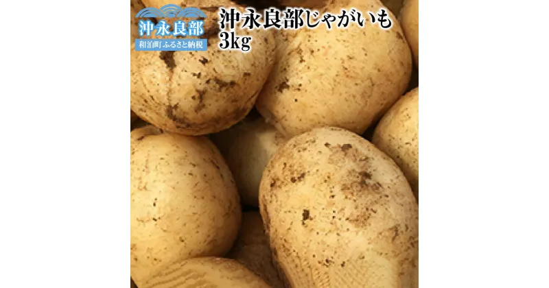 【ふるさと納税】【2025年先行予約】 沖永良部 じゃがいも 3kg 新じゃが 赤土じゃがいも ホクホク 食感 まるとよ農産 ポテト アローワ ニシユタカ デジマ ゴールドメーク メークイン 5品種 Mサイズ以上 野菜 芋 鹿児島 和泊町 おすすめ ランキング プレゼント ギフト