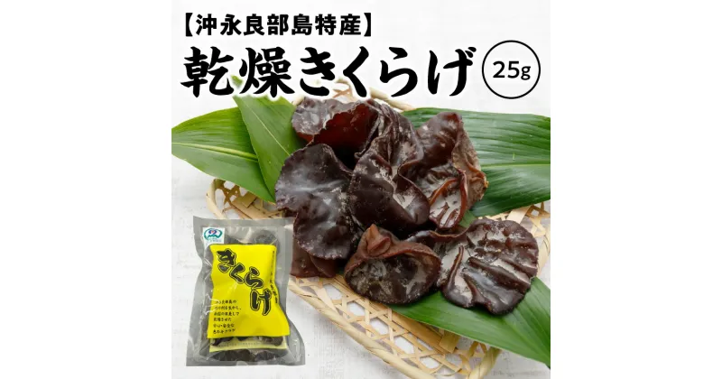 【ふるさと納税】乾燥 きくらげ 1袋 25g 沖永良部島 特産 国産 グルメ きのこ ヘルシー食材 乾燥きくらげ 料理 乾物 食材 材料 食品 安心 安全 南国きのこ苑 まるとよ農産 九州 鹿児島県 和泊町 お取り寄せ 送料無料