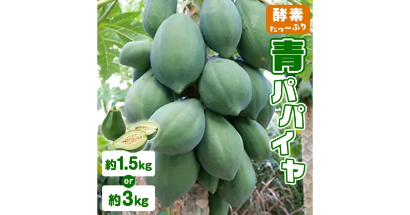 【ふるさと納税】 酵素たっぷり 青パパイヤ 選べる 1.5kg or 3kg パパイヤ 野菜 果物 フルーツ ドライフルーツ 南国フルーツ 酵素 美味しい 間食 おやつ ビタミン 栄養 鹿児島県 沖永良部島 数量 限定 まるとよ農産 鹿児島 和泊町 おすすめ ランキング プレゼント ギフト