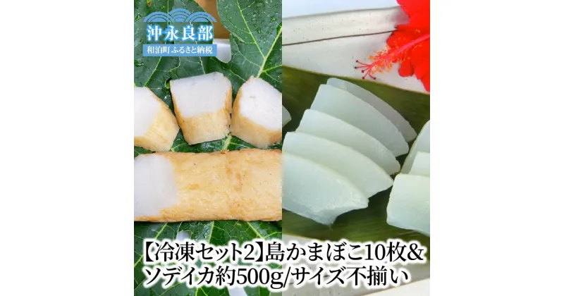 【ふるさと納税】【冷凍セット2】島かまぼこ10枚＆ソデイカ約500g/サイズ不揃い