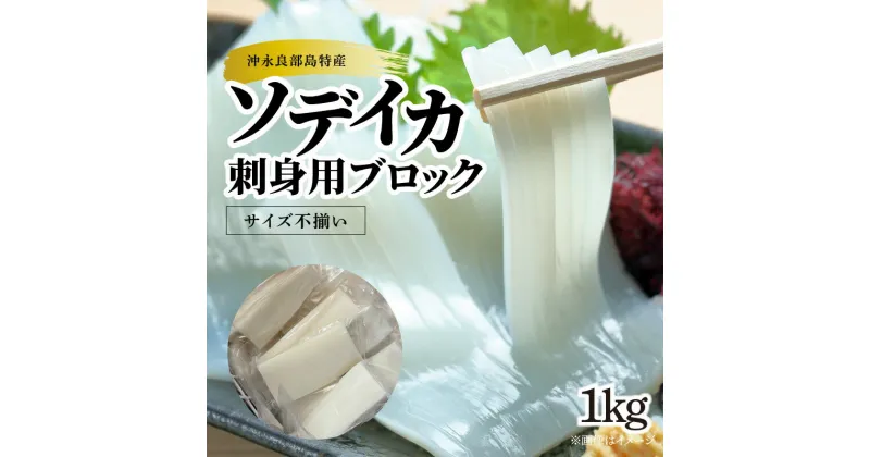 【ふるさと納税】【サイズ不揃い】ソデイカ・刺身用ブロック　1Kg/沖永良部島特産