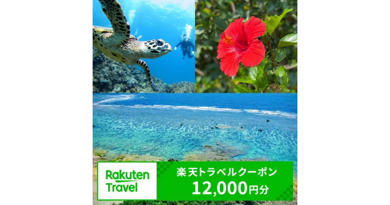 【ふるさと納税】鹿児島県和泊町の対象施設で使える楽天トラベルクーポン 寄付額40,000円 ホテル 旅館 宿泊予約 旅行 予約 連泊 国内クーポン 宿泊券 旅行券 チケット 春 夏 秋 冬 ビジネス 出張 洋室 和室