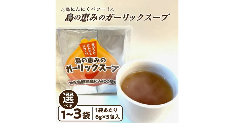 【ふるさと納税】＜選べる＞ 島ニンニク パワー 島の恵みの ガーリックスープ 1袋 ～ 3袋 ガーリック スープ 粉末 粉 にんにく 個包装 簡単 お湯 手軽 時短 手間いらず 沖永良部 島の恵み工房 サロンバー エスポワール 鹿児島 和泊町 おすすめ ランキング プレゼント ギフト