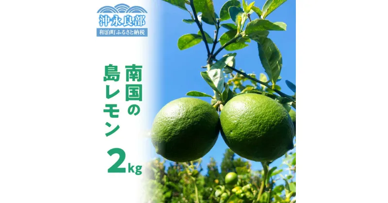 【ふるさと納税】【先行受付】島レモン 2キロ 果物 栽培期間中 農薬 除草剤 化学肥料 不使用 さわやかな酸味 天然 ミネラル 香り豊かな レモン 沖永良部産 自然栽培 スムージー レモンシロップ レモネード 南国 鹿児島 和泊 お取り寄せ 送料無料