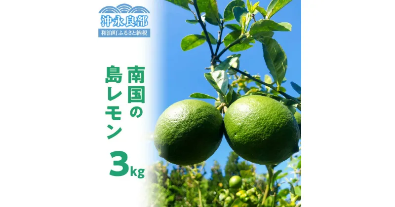 【ふるさと納税】【先行受付】島レモン 3キロ 果物 栽培期間中 農薬 除草剤 化学肥料 不使用 さわやかな酸味 天然 ミネラル 香り豊かな レモン 沖永良部産 自然栽培 スムージー レモンシロップ レモネード 南国 鹿児島 和泊 お取り寄せ 送料無料