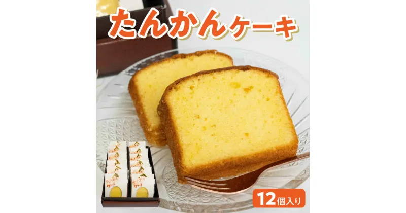 【ふるさと納税】たんかん ケーキ 12個 お菓子 スイーツ 南の島 香り豊か フルーツケーキ 果汁 果皮 深い甘み ふわふわ 生クリーム バニラアイス 紅茶 コーヒー おうち時間 鹿児島県 沖永良部 お取り寄せ 送料無料