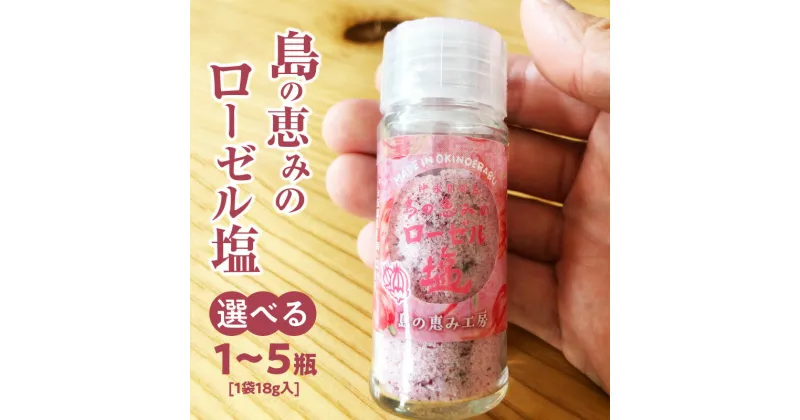 【ふるさと納税】＜選べる＞ 島の恵みの ローゼル塩 瓶タイプ 18g × 1瓶 ～ 5瓶 ピンクソルト 塩 天然塩 ソルト ローゼル ハイビスカス 調味料 ミネラル おにぎり 沖永良部 島の恵み工房 サロンバー エスポワール 鹿児島 和泊町 おすすめ ランキング プレゼント ギフト