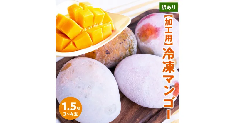 【ふるさと納税】【2025年先行予約】訳あり 冷凍マンゴー 1.5kg 沖永良部島産 マンゴー アップルマンゴー 3玉 〜 4玉 加工用 アレンジ自由 ジュース トッピング ジェラート ジャム お菓子 鹿児島県 和泊町 お取り寄せ フルーツ 果物 冷凍 送料無料