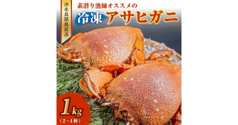 【ふるさと納税】冷凍 アサヒガニ カニ 1キロ 2～4杯 沖永良部島直送 素潜り漁師 オススメ 素潜り漁 新鮮 鮮度保持 グルメ お取り寄せ 海産物 味噌汁 お鍋 シメ 旨味 出汁 唐揚げ 雑炊 特産品 沖永良部島 送料無料