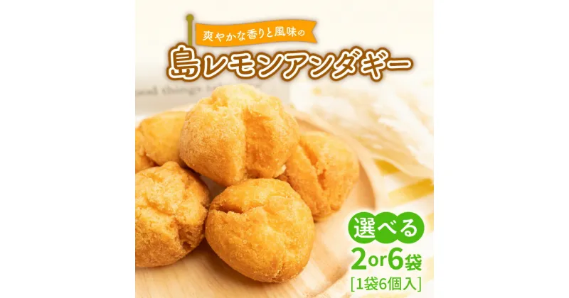 【ふるさと納税】＜選べる＞ 爽やかな香りと風味の 島レモン アンダギー 6個入 × 2袋 or 6袋 サーターアンダギー ドーナツ ドーナッツ レモン お菓子 菓子 おやつ デザート スイーツ ヘルシー 沖永良部 島の恵み工房 鹿児島 和泊町 おすすめ ランキング プレゼント ギフト