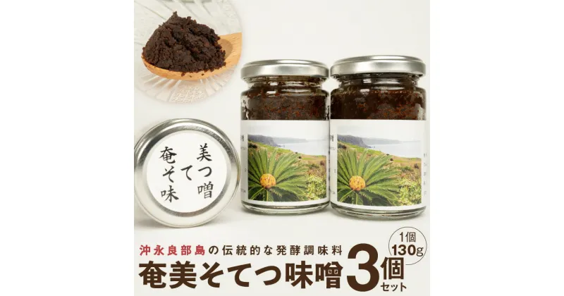 【ふるさと納税】沖永良部島 伝統的な発酵調味料 奄美そてつ味噌 130g × 3個 セット ソテツ ヤラブ そてつの実 昔なつかしい味 鹿児島県 和泊町 お取り寄せ 伝統 調味料 みそ 魚 肉 味噌汁 ご飯のお供 お酒の肴 つまみ 常温発送 送料無料