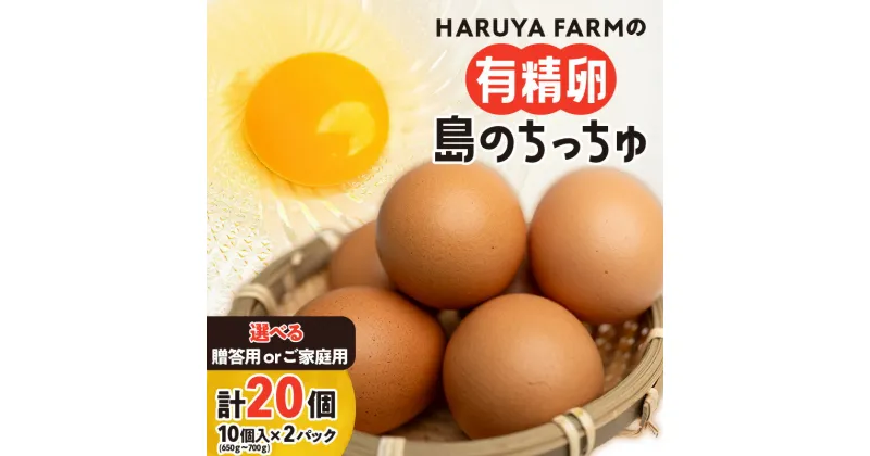 【ふるさと納税】＜選べる＞ 有精卵 20個 贈答用 or ご家庭用 HARUYA FARM 島のちっちゅ 卵 鶏卵 たまご エッグ 鶏 安心 安全 低コレステロール 高タンパク質 低カロリー 食物繊維 たまごサンド たまごかけご飯 プリン 鹿児島 和泊町 おすすめ ランキング プレゼント ギフト