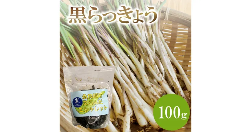 【ふるさと納税】黒らっきょう 100g お取り寄せ 鹿児島県 知名町 送料無料