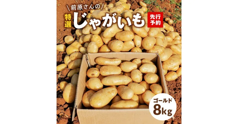 【ふるさと納税】【2025年先行予約】 前原さんの特選じゃがいも 8kg ゴールド 新じゃが じゃがいも 芋 ポテト 野菜 フライドポテト ポテトチップス 期間 数量 限定 特選 極上 手堀り 美味しい 鹿児島 沖永良部 スナップ牧場 知名町 おすすめ プレゼント ランキング ギフト