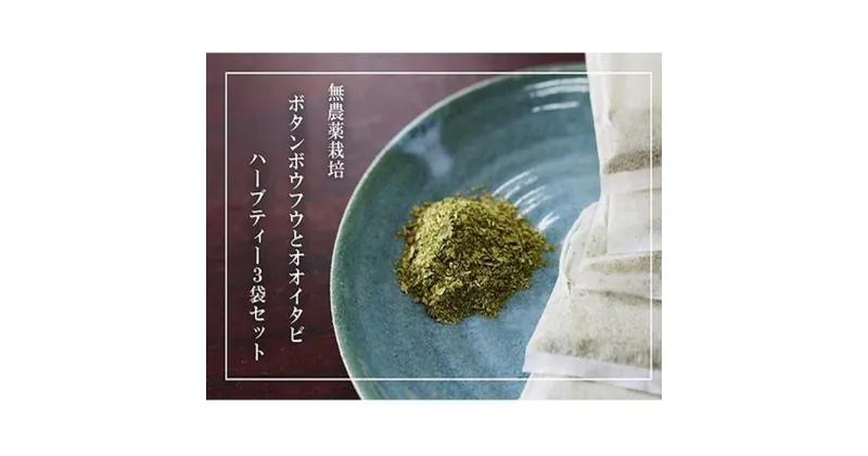 【ふるさと納税】【180杯分！】無農薬ボタンボウフウと大崖石榴茶 （長命草とオオイタビハーブティー） 3袋セット | ハーブティー ティーバッグ オオイタビ 長命草 紅茶 アンチエイジング 健康 美容 人気 おすすめ 送料無料 鹿児島県 与論島 ヨロン ブレンドティー