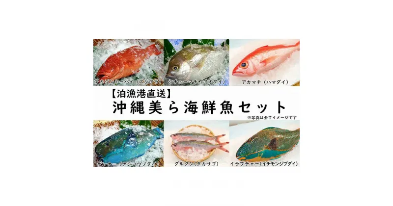 【ふるさと納税】【泊漁港直送】 沖縄美ら海鮮魚セット | 沖縄 那覇 沖縄県 那覇市 ふるさと 納税 支援 支援品 返礼品 返礼 お礼の品 楽天ふるさと 沖縄土産 沖縄お土産 お土産 おみやげ 取り寄せ お取り寄せ グルメ お取り寄せグルメ ご当地 ご当地グルメ 緊急支援